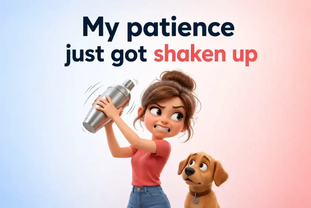 Funny Snow Globe Puns That Keep It Light