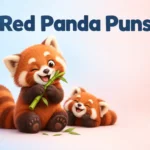 red-panda-puns